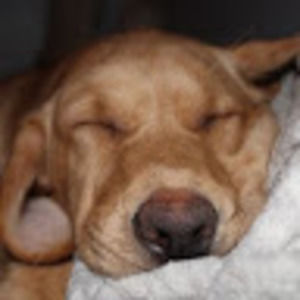 Meet your Posher, Katelynn